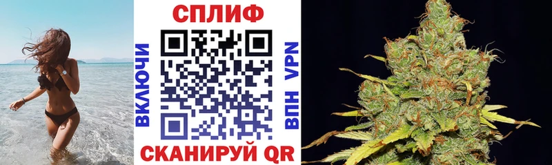 Конопля MAZAR  Суздаль 